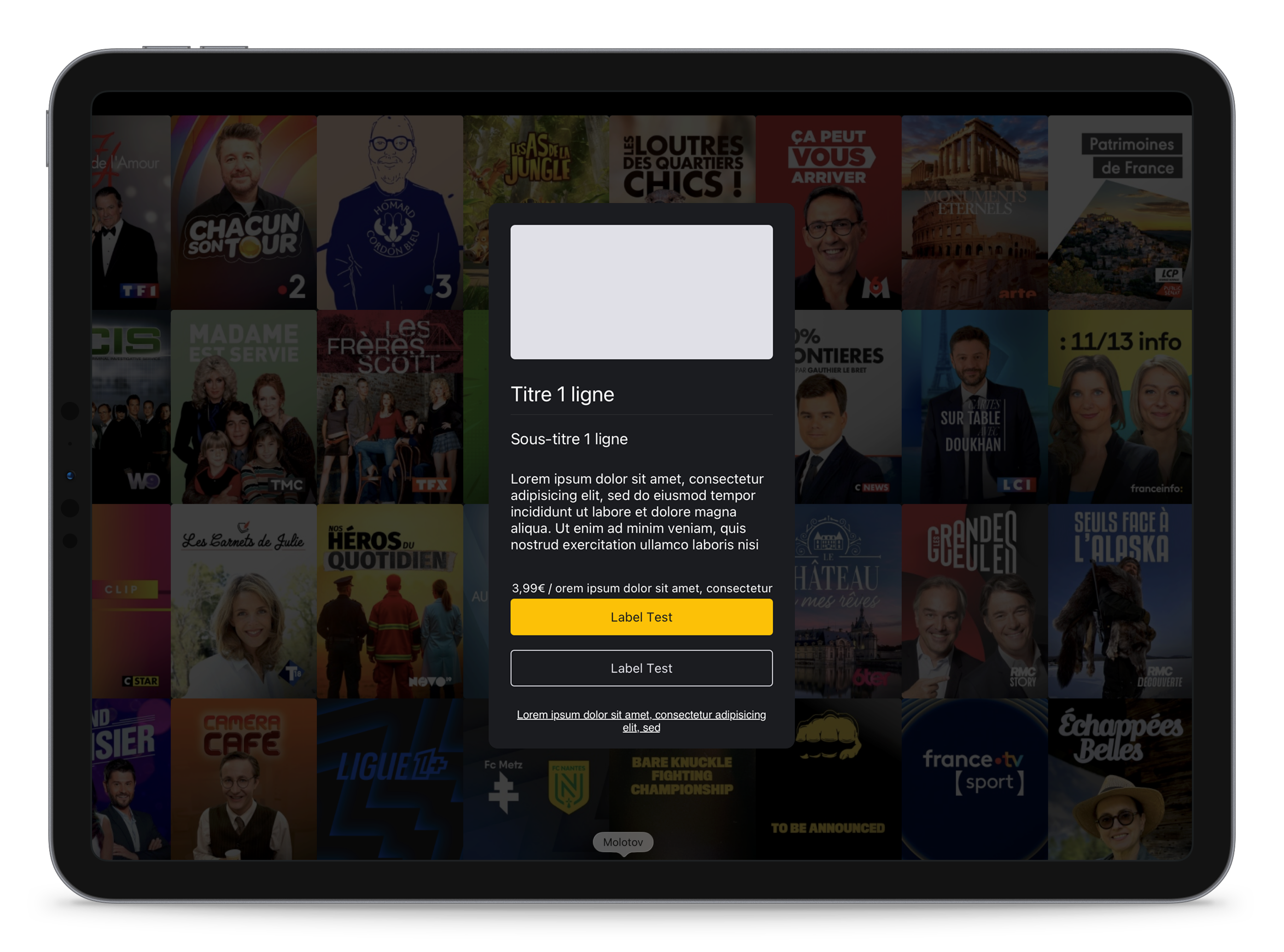 Voxlov dating app interface